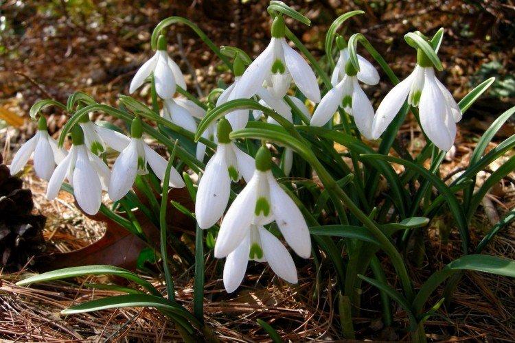 Температура и освещение