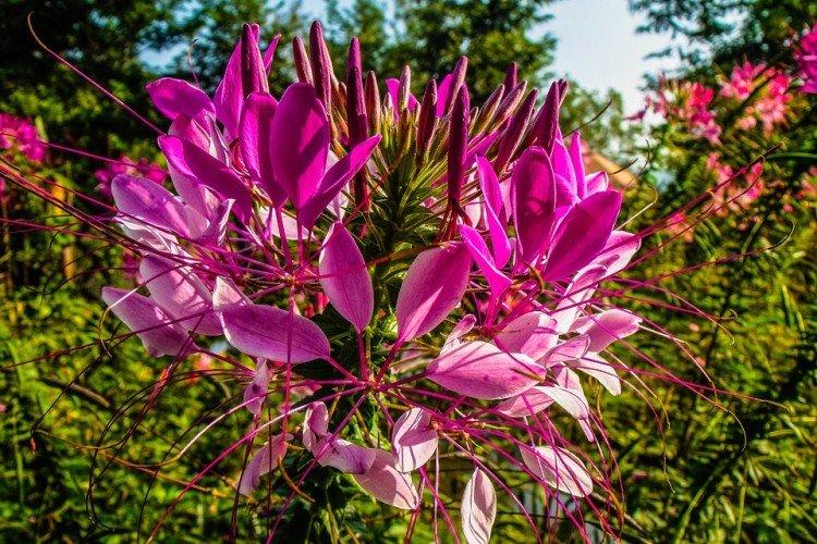 Общая информация