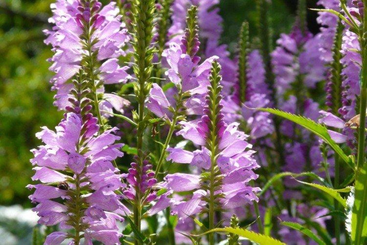 Общая информация