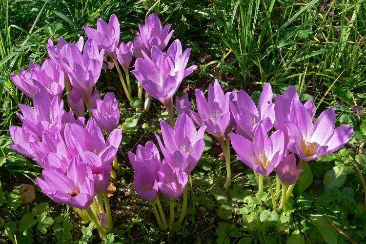 Температура и освещение