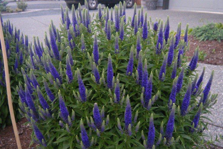 Температура и освещение