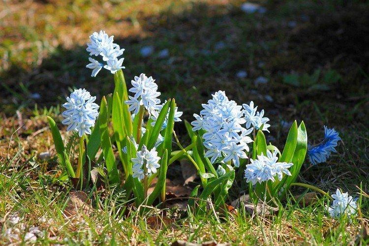 Температура и освещение