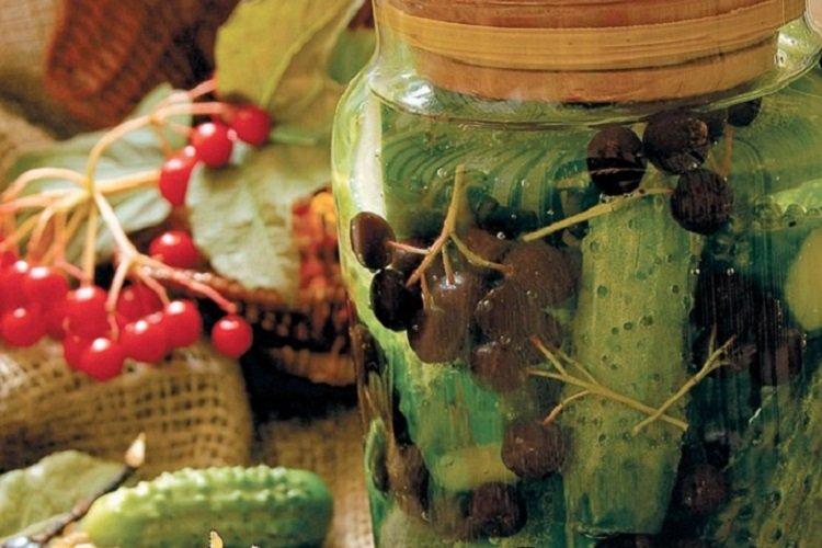 Хрустящие огурцы с медом и рябиной