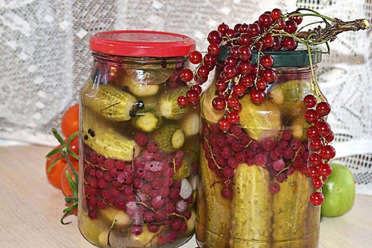 Огурцы с красной смородиной на зиму
