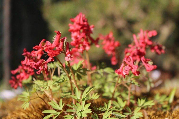 Общая информация