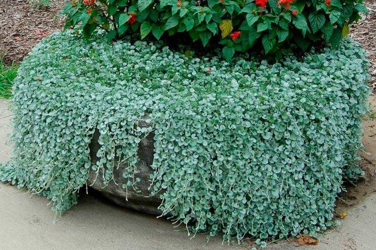 Изумрудный водопад