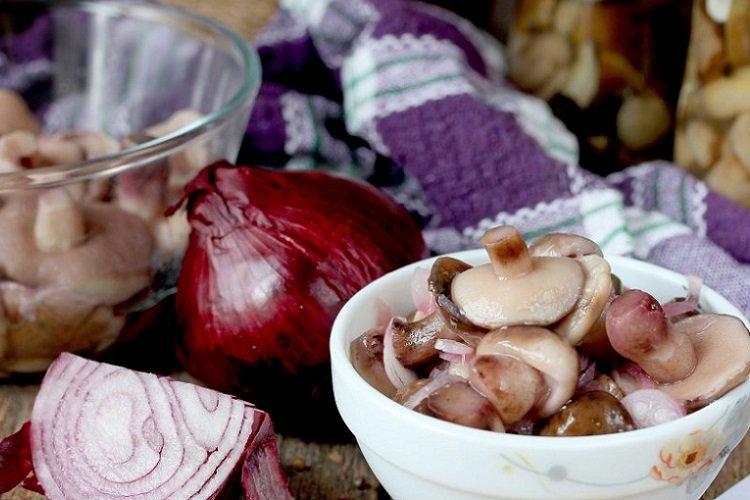 Маринованные маслята