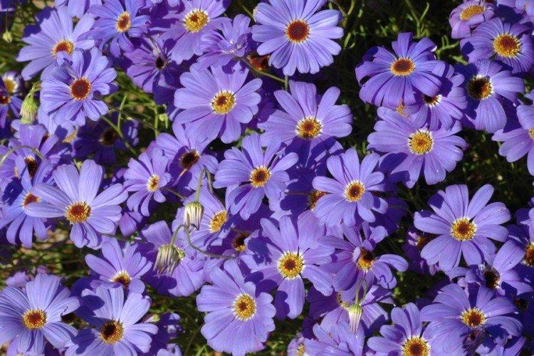 Общая информация