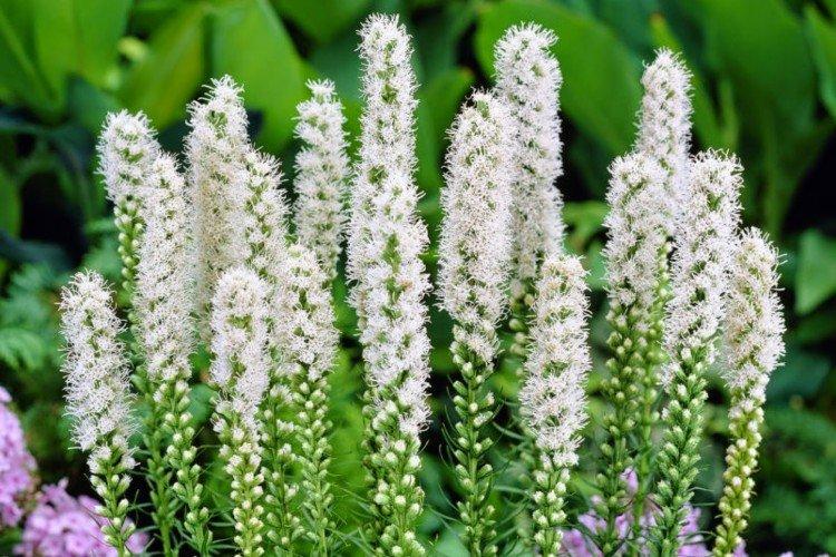 Общая информация