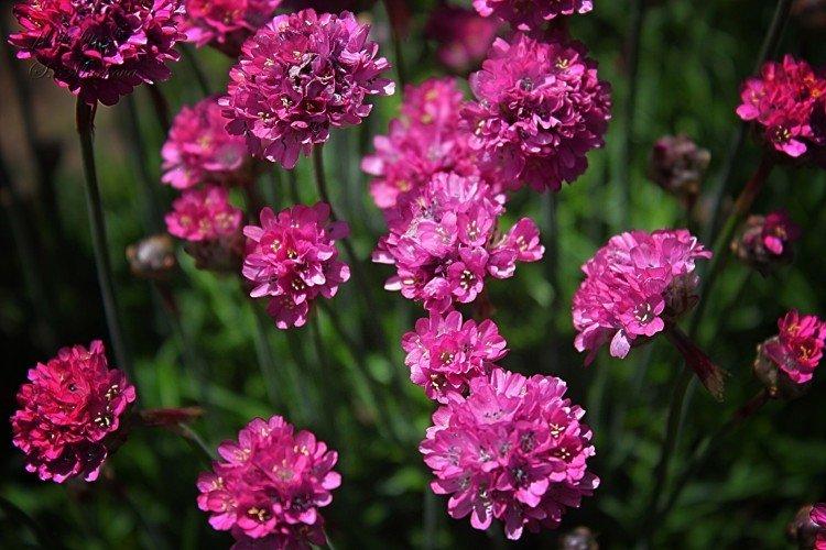 Общая информация