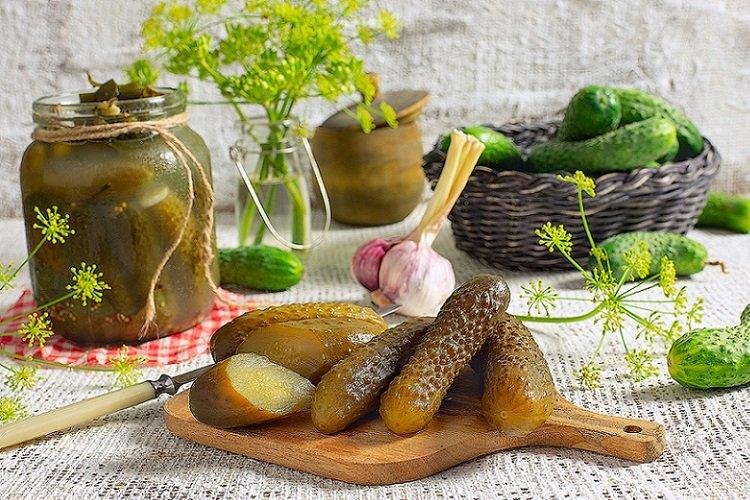 20 простых и вкусных рецептов маринованных огурцов