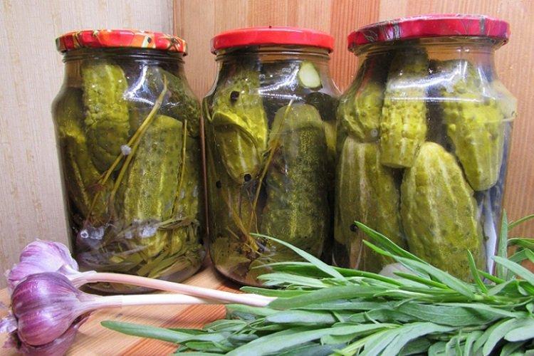 Маринованные огурцы с тертым хреном и эстрагоном