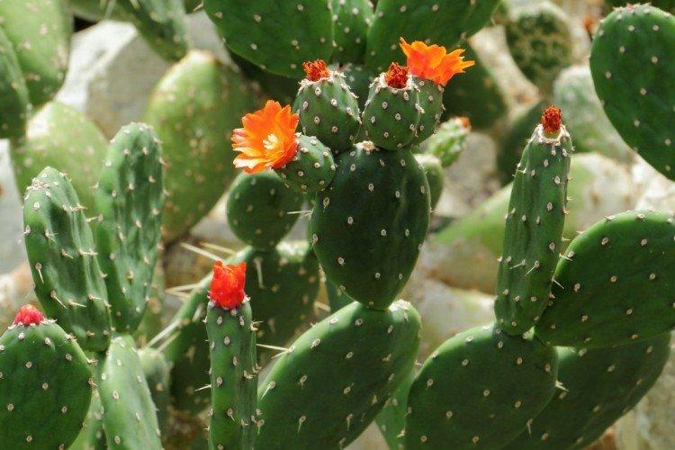 Общая информация