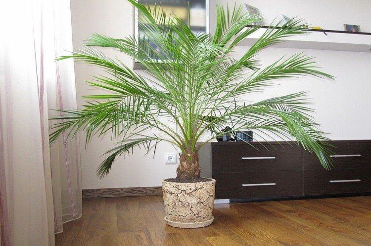 Общая информация