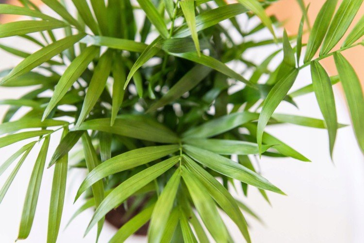 Температура