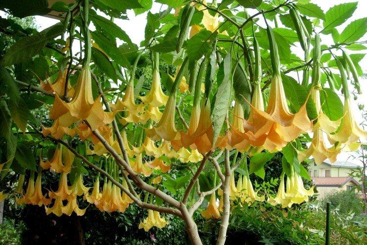 Общая информация