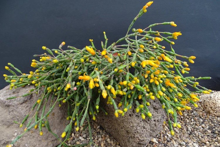 Общая информация