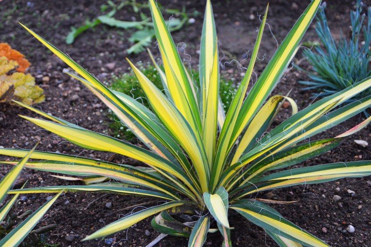 Общая информация