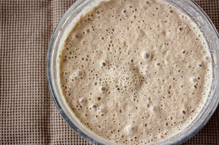 Быстрая закваска для хлеба