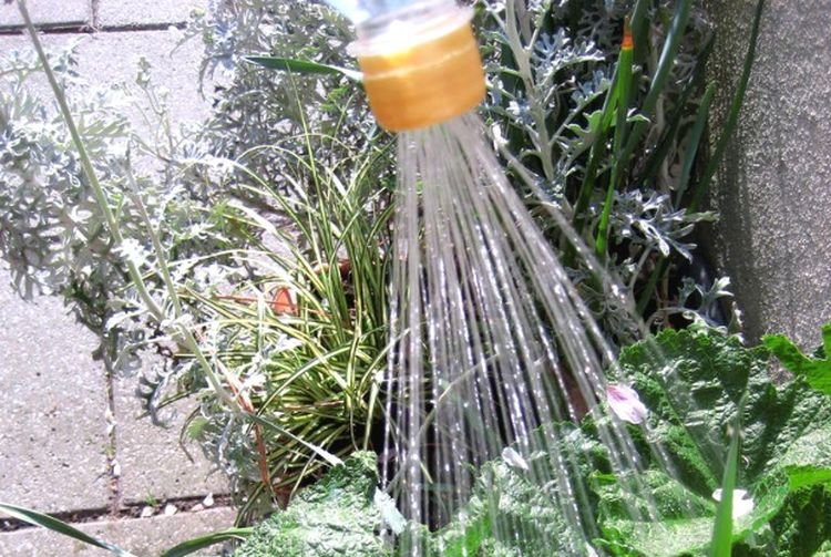 Лейка из бутылки