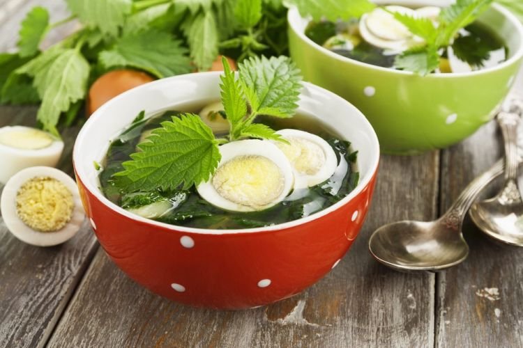 Щи из крапивы