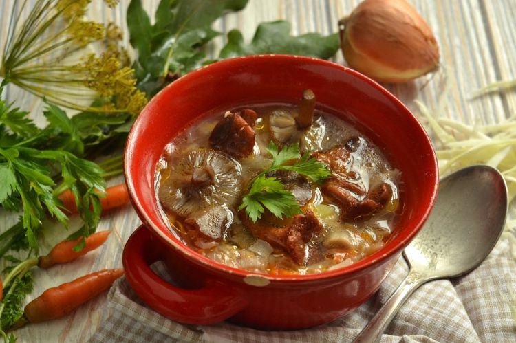 Щи с грибами