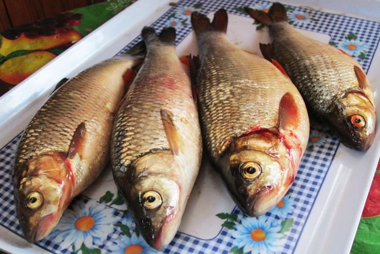 Значение для человека