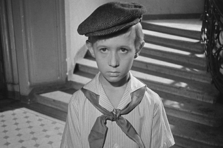 Добро пожаловать, или Посторонним вход воспрещен (1964)