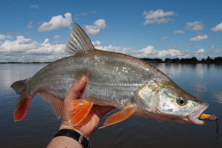 Значение для промышленности
