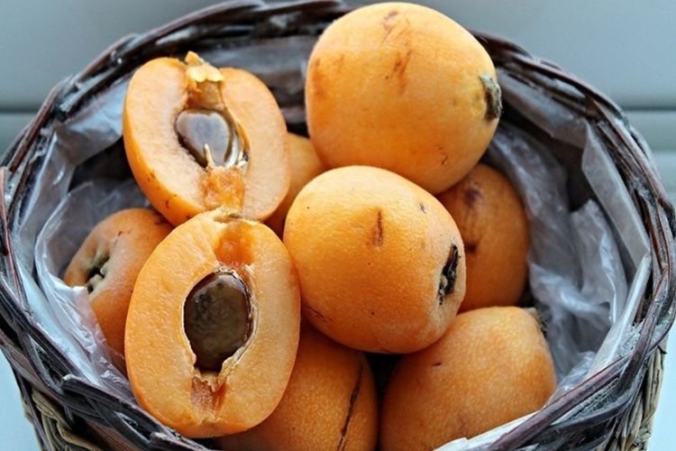 Пищевая ценность и полезные свойства