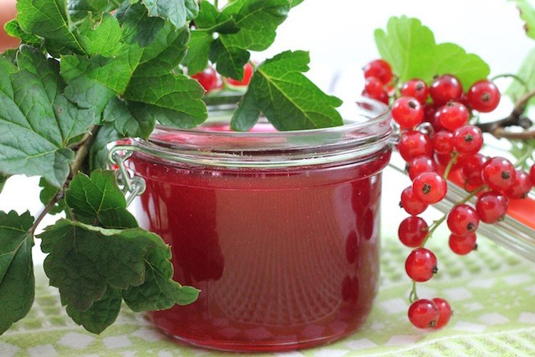 Желе из красной смородины с агар-агаром