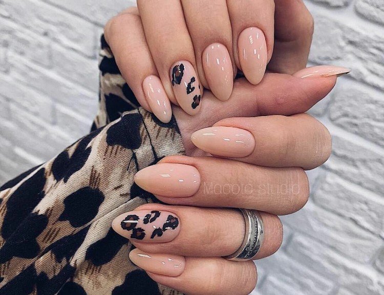 Осенние животные принты