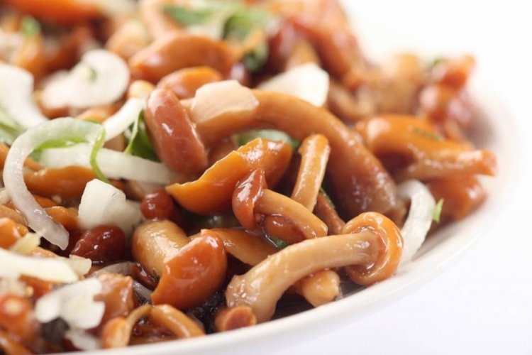 Соленые опята