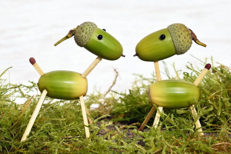 Поделки из желудей своими руками: 10 легких и красивых идей