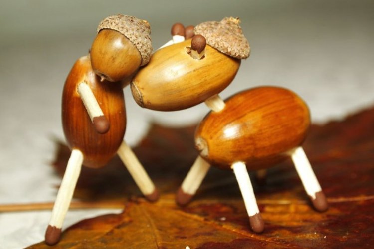 Поделки из желудей – фото и идеи