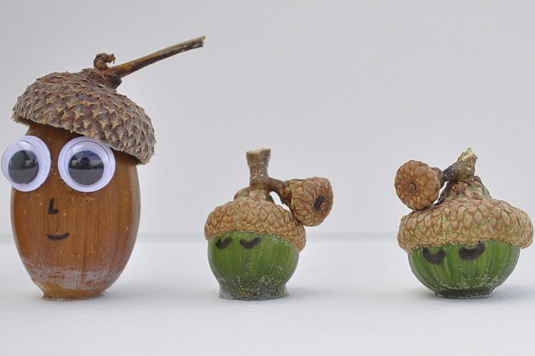 Поделки из желудей – фото и идеи