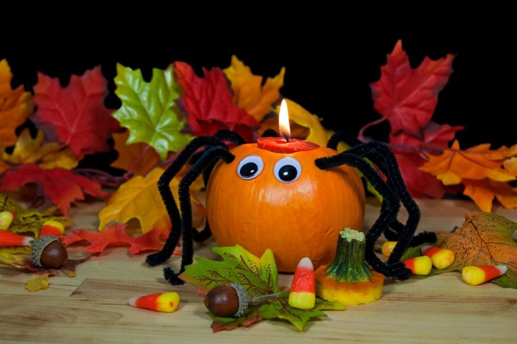 Поделки из тыквы – фото и идеи