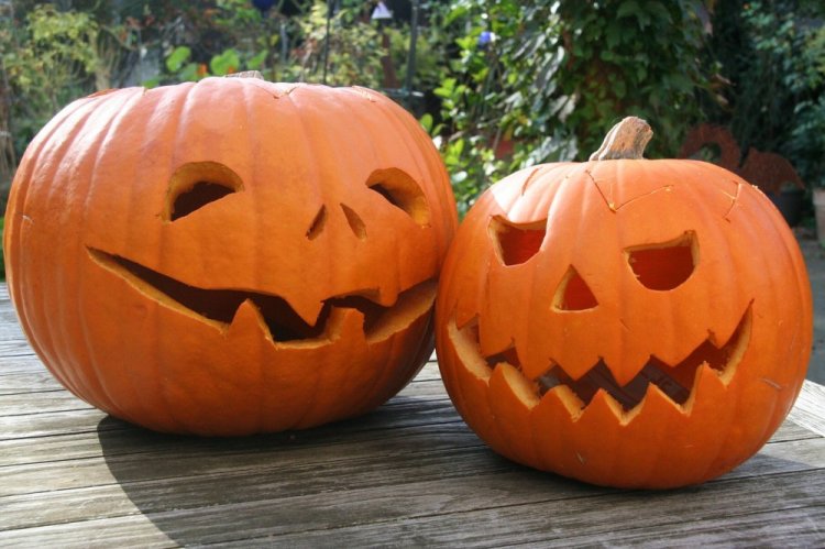 Поделки из тыквы – фото и идеи