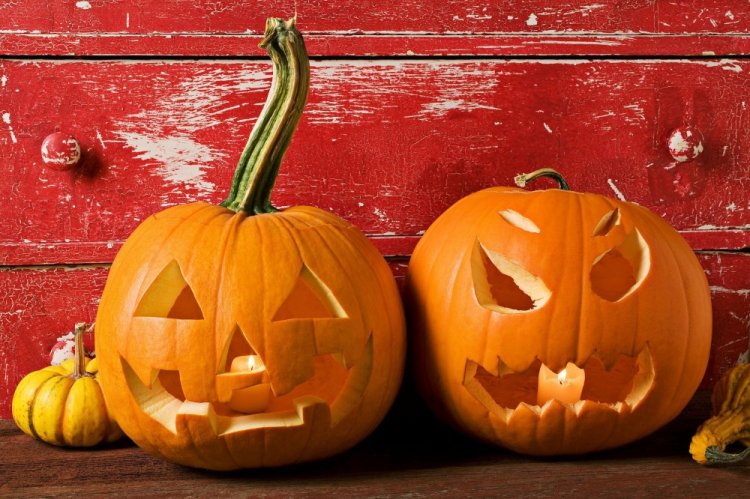 Поделки из тыквы – фото и идеи