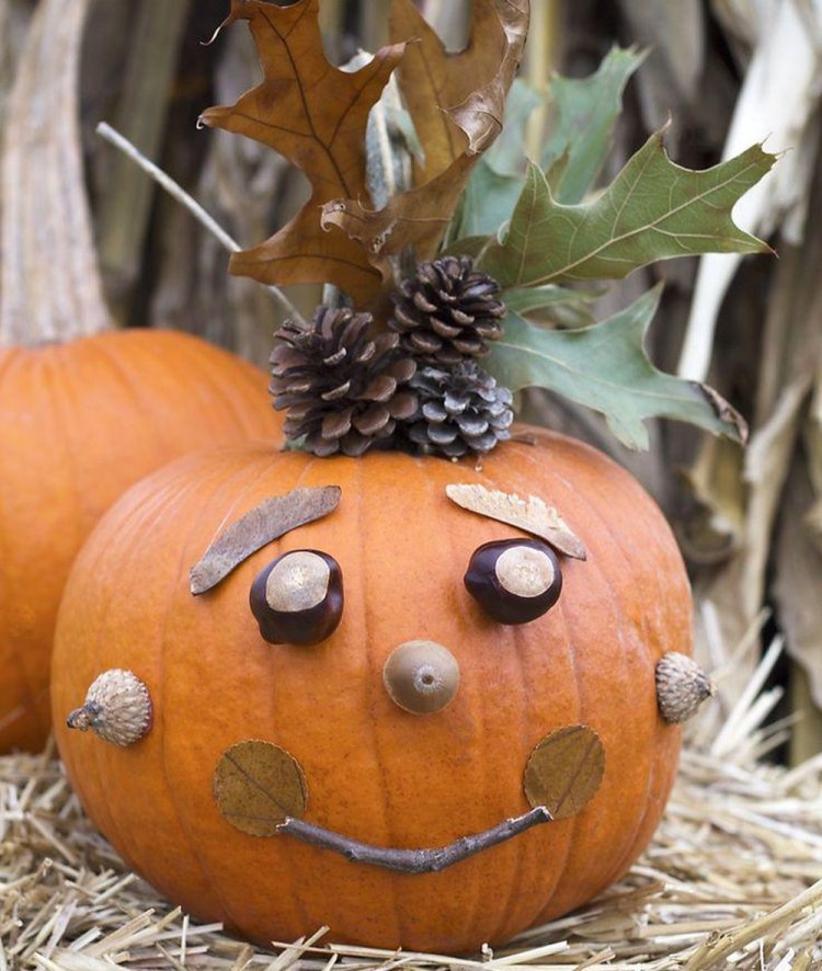 Поделки из тыквы – фото и идеи