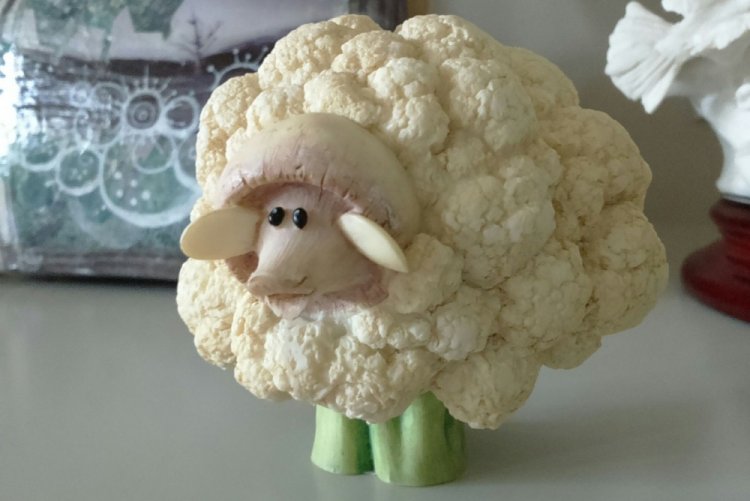 Поделки из цветной капусты и брокколи