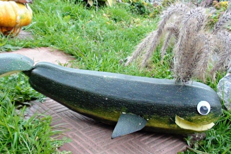 Поделки из кабачков - фото