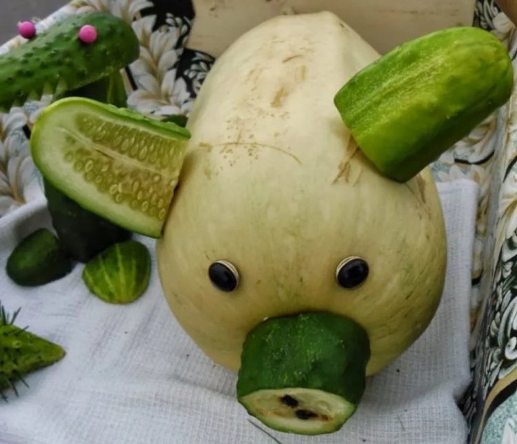 Животные из кабачков
