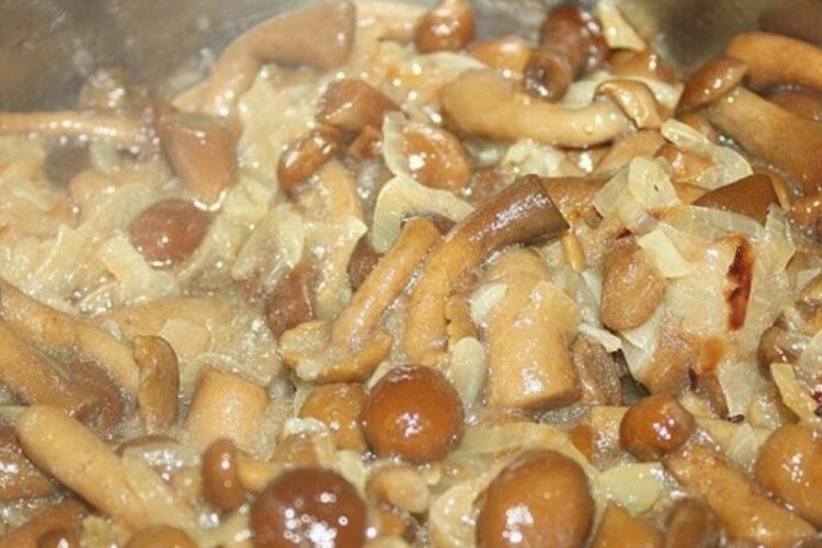 Жареные опята с майонезом