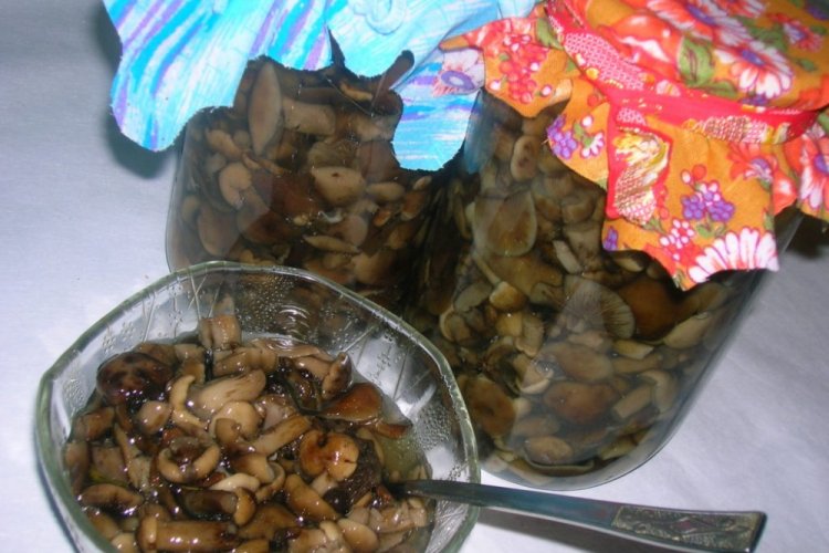 Жареные опята на зиму