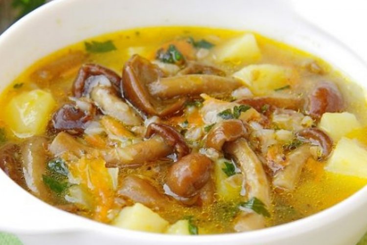 Грибной суп из опят с рисом