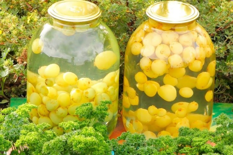 Компот из винограда кишмиш