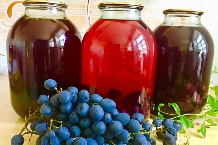 Компот из винограда Изабелла