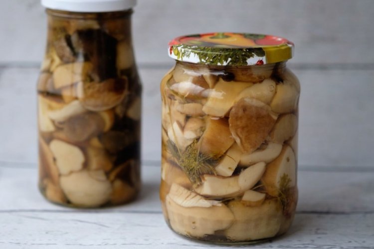 Маринованные белые грибы на зиму