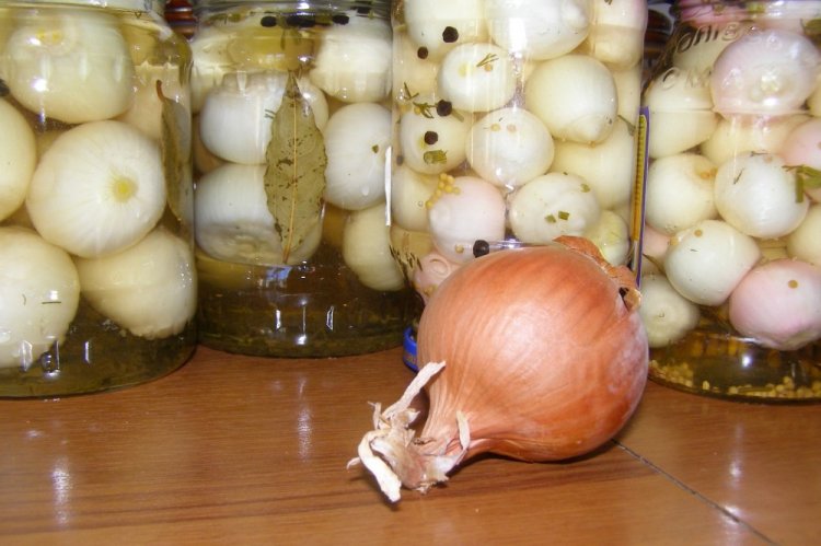 Маринованный лук с растительным маслом